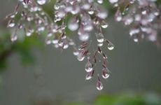 寒露节气要吃什么？在忙也别忘了吃这6种食物