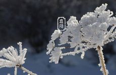 请来的太岁符该怎么放 太岁符放在家里什么位置