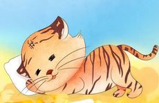 2023年属虎有牢狱之灾 属虎2023年牢狱之灾