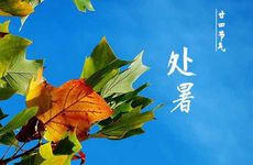 2022年处暑时间几点几分几秒 2022处暑是哪一天几点