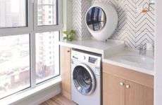 化煞植物家里可以化煞的植物有哪些