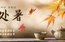 奇葩的网名越怪越好