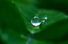 2024年白露期间的温度 今年白露以后天气如何