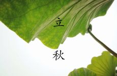 总能月老关照 享受桃花运了的四大生肖