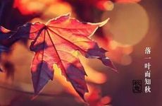 梦见放烟花 放鞭炮怎么回事 梦见放烟花 放鞭炮有什么预兆