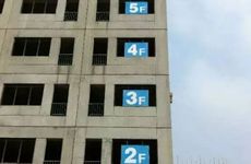 海棠树能种在北方的后院吗 大门朝南