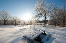 梦见毒蛇周公解梦，梦见毒蛇是什么意思？