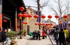 什么属相不能养铁树