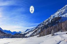 2022年财运大翻身的生肖 能够发财的属相