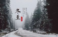 富贵竹的正确摆放方式能够帮助你步步高升