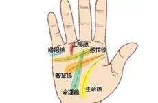 梦见与恋人拥抱