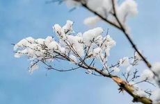 2024年有望成为富豪的星座