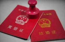 2023年结婚数量 2023年结婚率