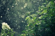 梦见电影 看电影怎么回事 梦见电影 看电影有什么预兆