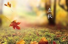 梦到薰衣草是什么预兆