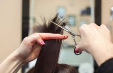 农历2023年二月份出现吉日一览 2023年二月适合出远门好日子