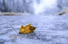 2024年立冬节气是什么时候 养生该吃什么？