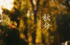 民间半仙常用的入坟断口诀