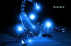 天蝎座会面对哪些感情危机