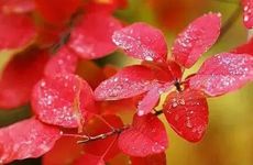 qq网名伤感类型的