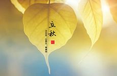 2022年立秋时间几点几分几秒钟 立秋已至秋衣到来