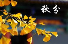 秋分节气的农事活动及传统美食