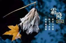 2023年霜降祝福语汇总(七篇)