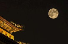 梦见柴火堆里烧土豆什么意思