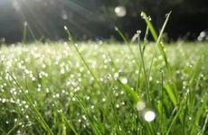 2026清明扫墓必买三样东西