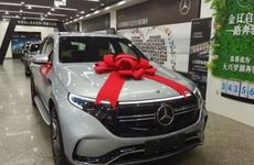 今日生肖相冲查询 2024年8月4日冲什么属相