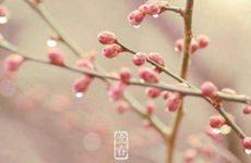 梦见喝豆腐脑怎么回事 梦见喝豆腐脑有什么预兆