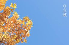 梦见男朋友理光头