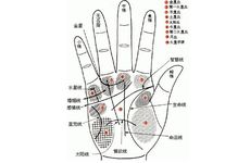 手相成功线分叉图解 手上有两条线怎么回事