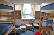 2024年11月24日出生什么命 感恩节出生好不好