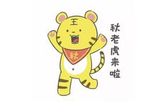 2022年属虎本命年佩戴什么好 琥珀虎眼石相合属相饰品