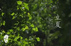 北方立夏节气适合吃什么传统食物2022