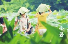 梦见自己得到一把扇子