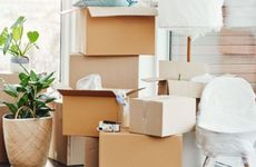 司马昭属什么动物 司马昭寿春之战