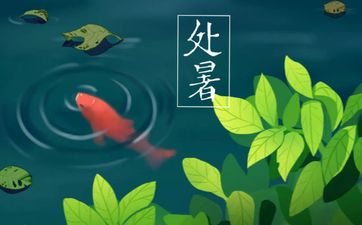 立秋和处暑的区别 哪个节气更凉快