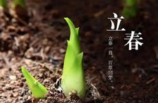 立春禁忌 春归娘家去来年又一春