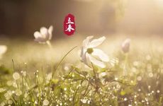 孕妇梦见蝴蝶是什么意思