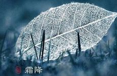 梦见开车经过好多坟墓