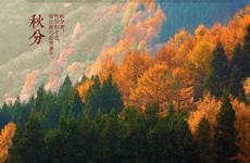 梦见一群鲨鱼　周公解梦之梦到一群鲨鱼