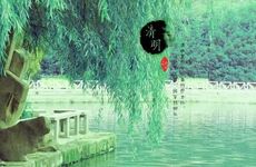 母小狗名字好听又个性