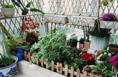 床底放一样东西必定破财是什么 床底下最忌讳放的东西