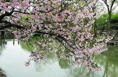 雨水节气的含义是什么意思 立春后继之水也