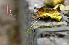 2024二十四节气表顺序表 2024年24节气一览表