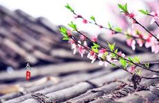 2023年2月4日立春搬家入宅好不好？ 2023年立春前哪一天搬家