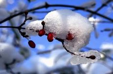 2022年小雪时间 2022小雪是几月几号