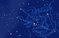 金牛男适合的星座伴侣